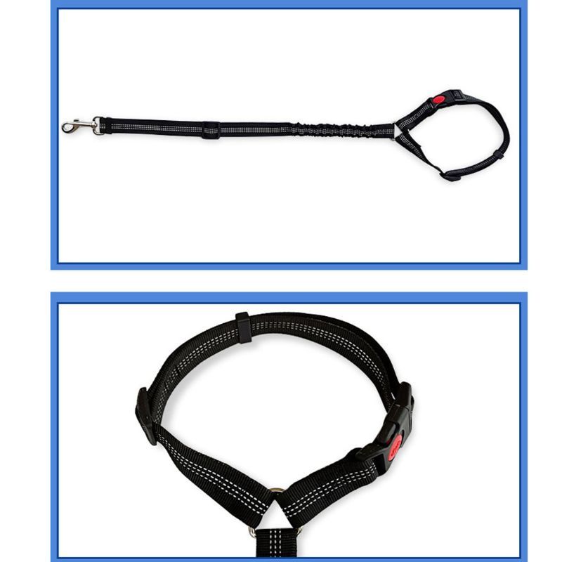 Adjustable Pet Car Seat Belt with Elastic Rope and Reflective Lines