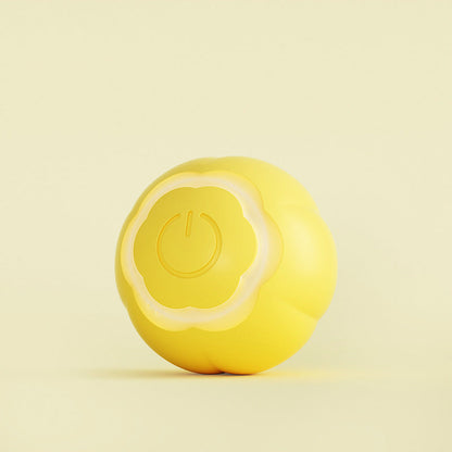 ABS Silicone Pet Toy Ball