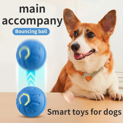 Pet Smart Interactive Moving Ball Toy