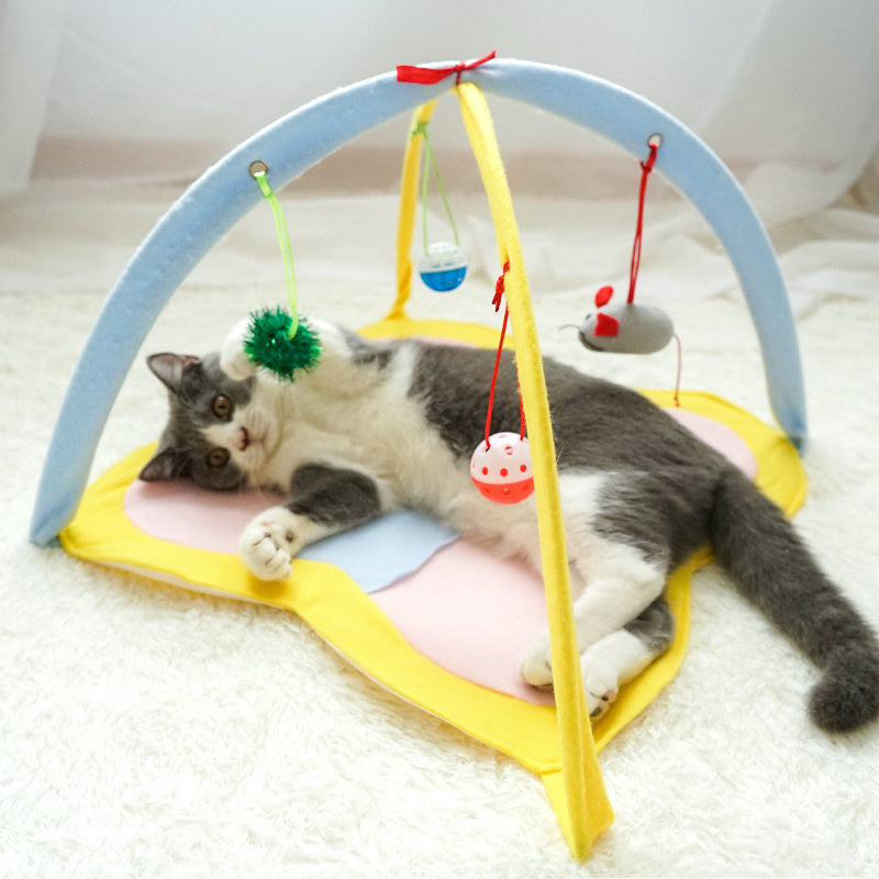 Funny Cat Stick Toy Set - Interactive Pet Supplies