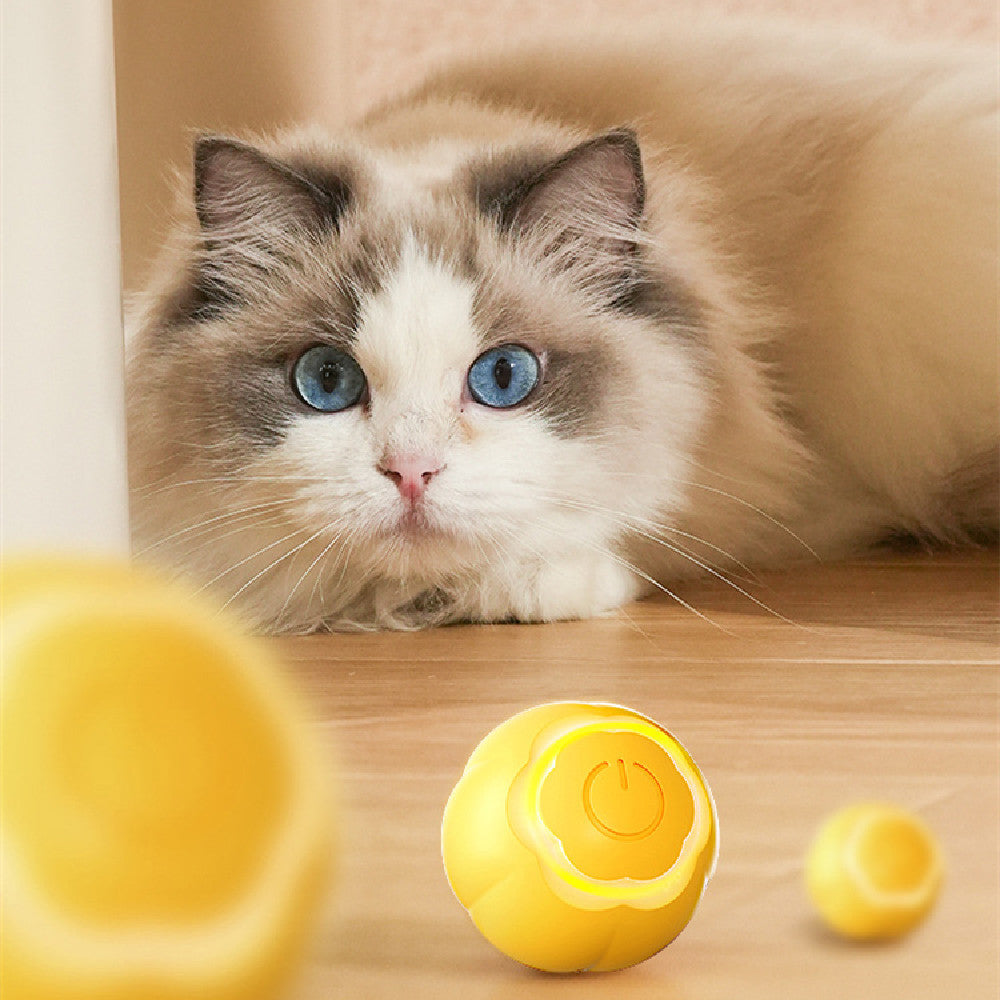 ABS Silicone Pet Toy Ball