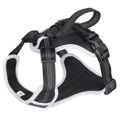 Explosion Proof Big Dog Harness with Handheld Leash