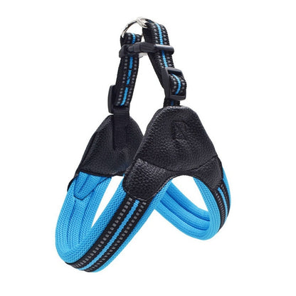 Durable Mesh Nylon Dog Harness in Various Sizes and Colors