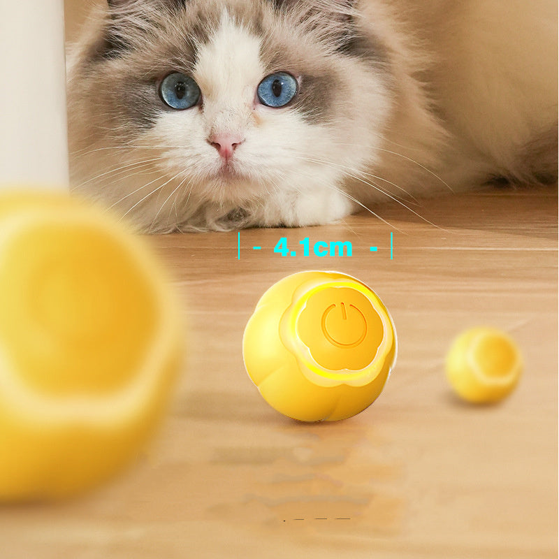 ABS Silicone Pet Toy Ball