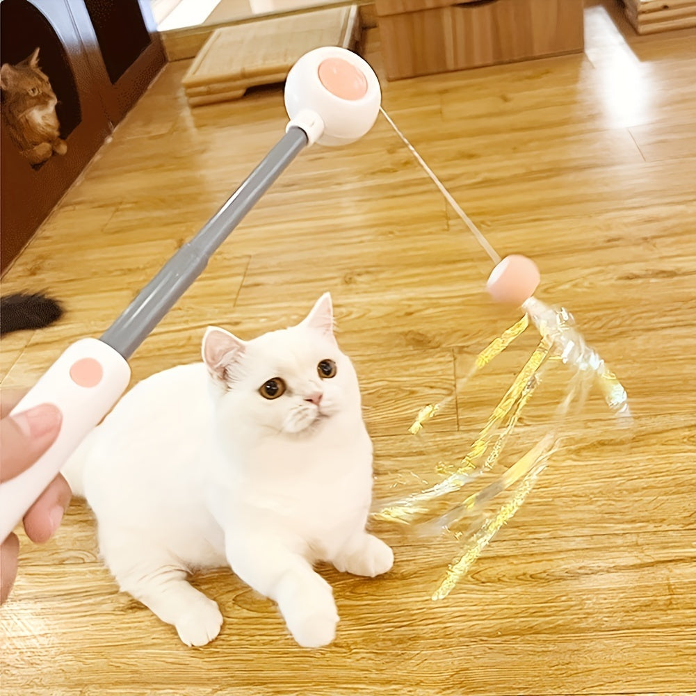 Retractable Cat Teaser Wand with Feather Toy