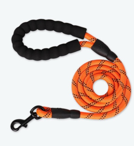 Reflective Dog Leash Orange