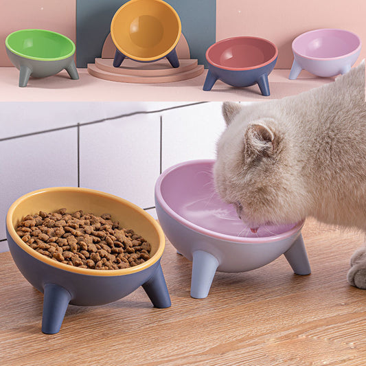 Pet Feeding Bowl With Stand