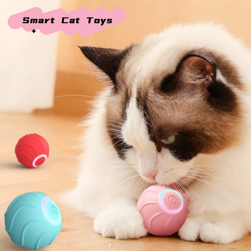 interactive cat toys