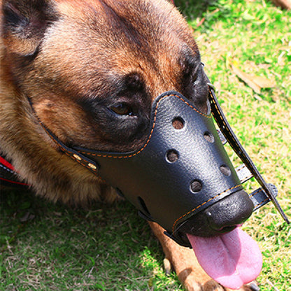 Leather Dog Muzzle in Black, Pink, Brown