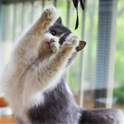 Funny Cat Stick with Super Flexible Wooden Handle for Playful Cats