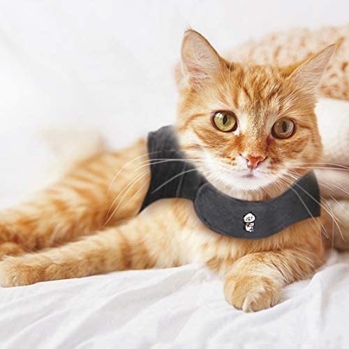 Polyester Pet Vest for All Pet Sizes - Clothing