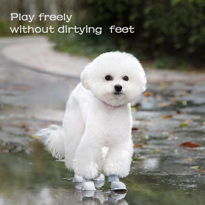 Keep Paws Dry in Rain