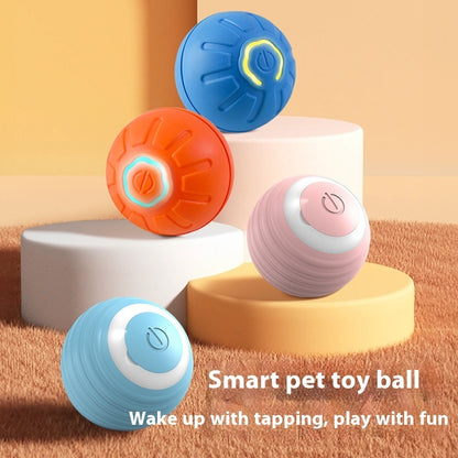 Pet Smart Interactive Moving Ball Toy