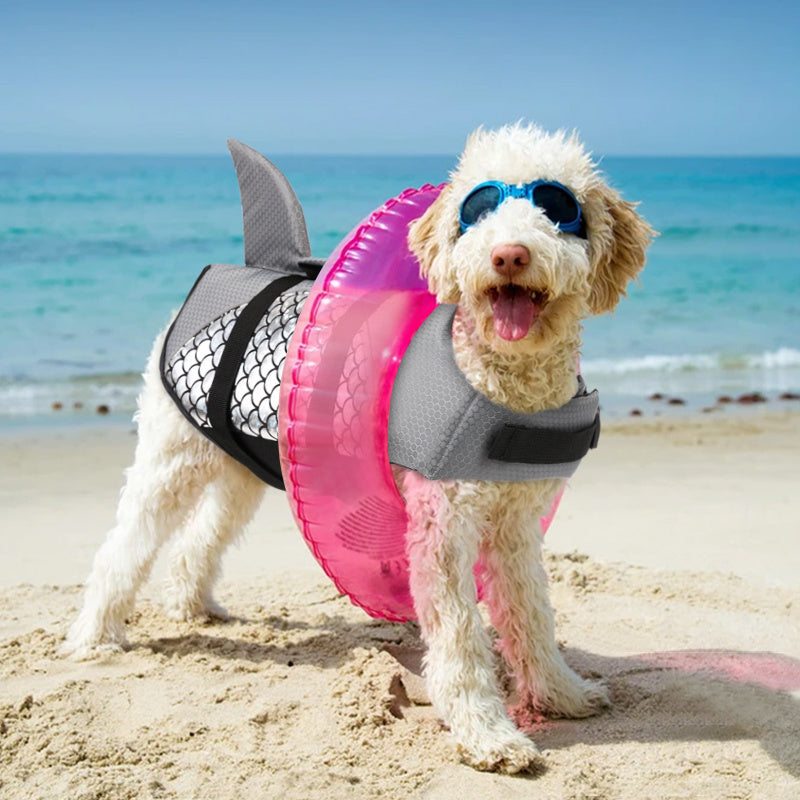 Golden Fur Corgi Life Jacket Swimwear