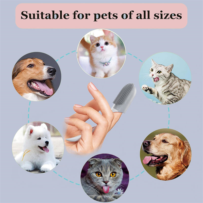 Easy Pet Dental Care Tool