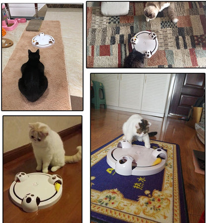 Exciting Automatic Cat Toy for Engagement and Exercise