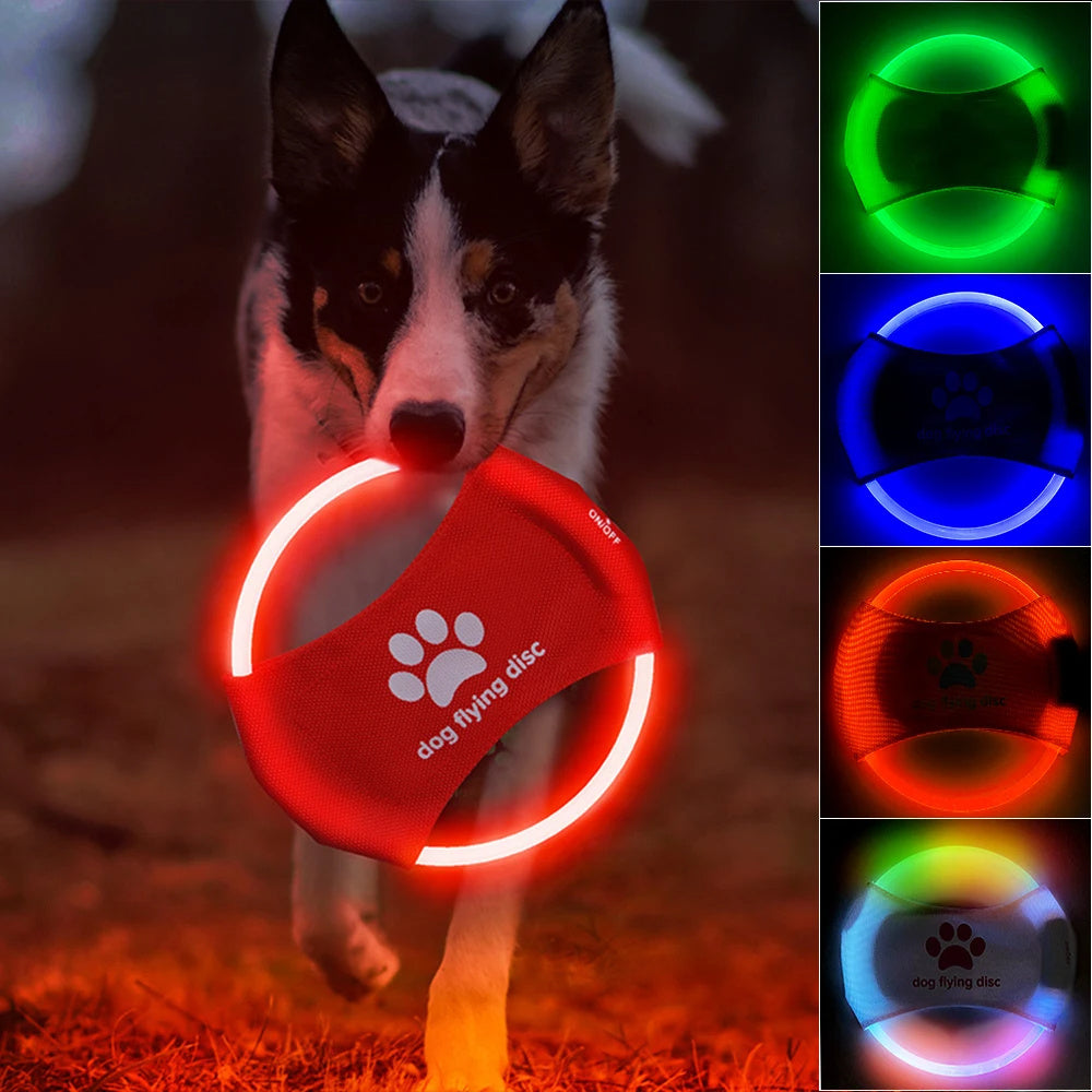 LED Glowing Dog Flying Discs