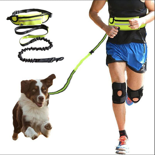 adjusts hands-free dog leash.