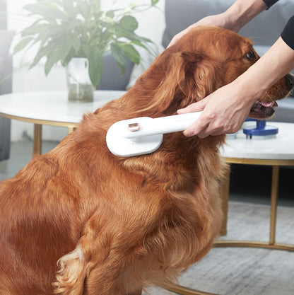 Max the golden retriever being groomed with the brush.