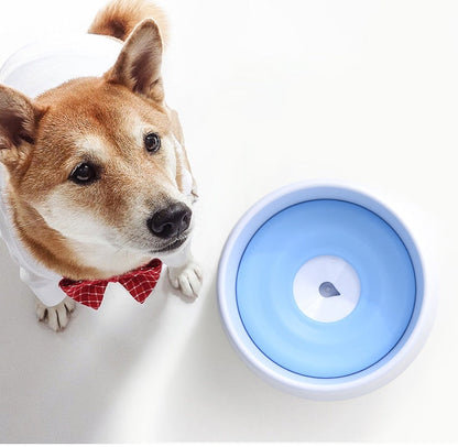 Automatic Dog Drinking Bowl