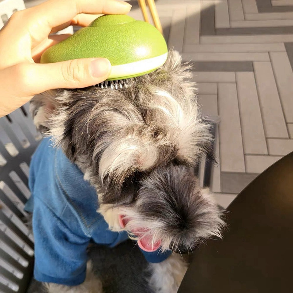 Avocado-Shaped Cat & Dog Brush