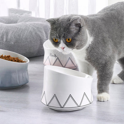 Premium Ceramic Cat Bowl - Stylish & Durable