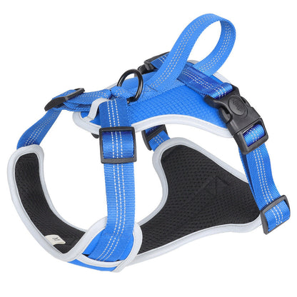 Explosion Proof Big Dog Harness with Handheld Leash