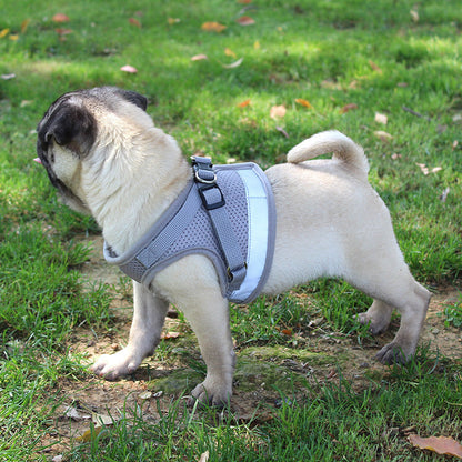 Premium Pet Chest Strap – Ultimate Comfort for Your Furry Friend