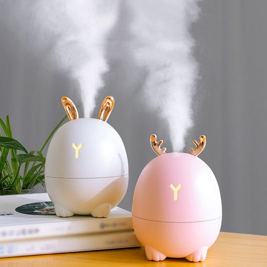 Nano Humidifier with Air Purification and Skin Moisturizing