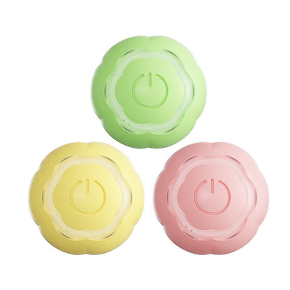 ABS Silicone Pet Toy Ball