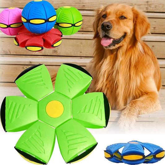 Magic Ball Toy - Durable & Interactive Pet Flying Saucer Ball