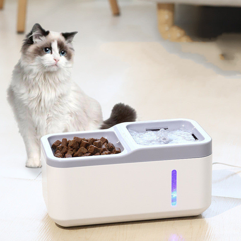 Smart automatic pet water dispenser and feeder with smartphone control