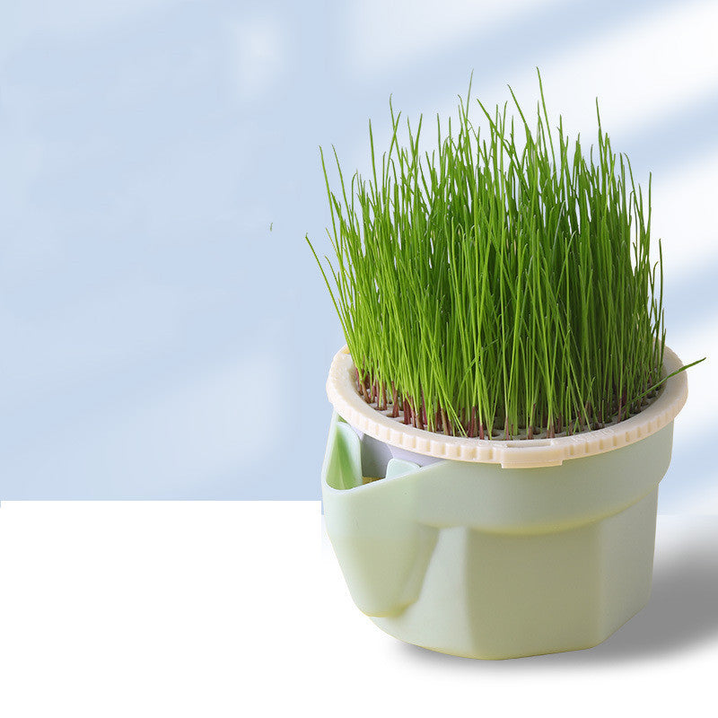 Organic Cat Grass Planting Hydroponic Box