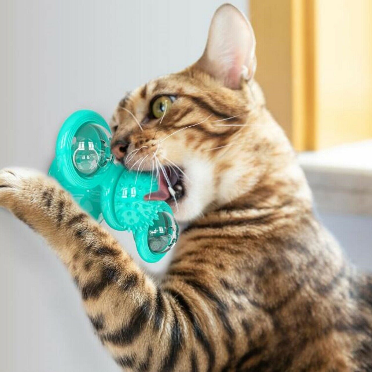 Interactive Cat Toy with Suction Cup and Catnip