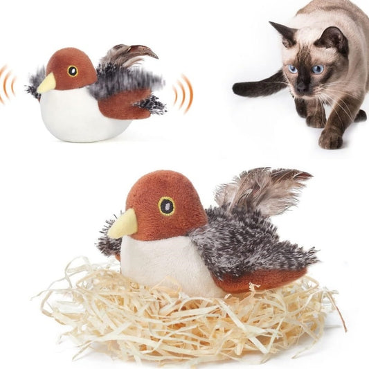 Simulation Of Bird Electric Molars For Cats