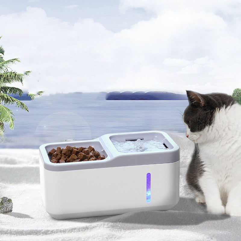 "Cat drinking from smart water dispenser."