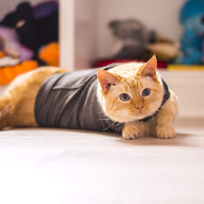 Polyester Pet Vest for All Pet Sizes - Clothing