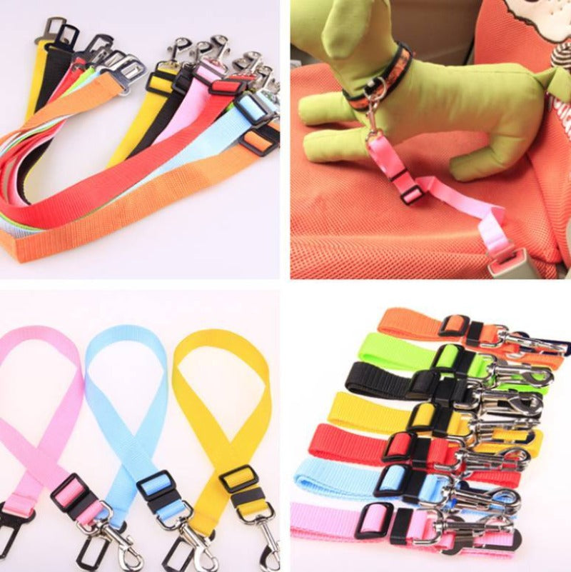 Durable dog leash with fixed strap.