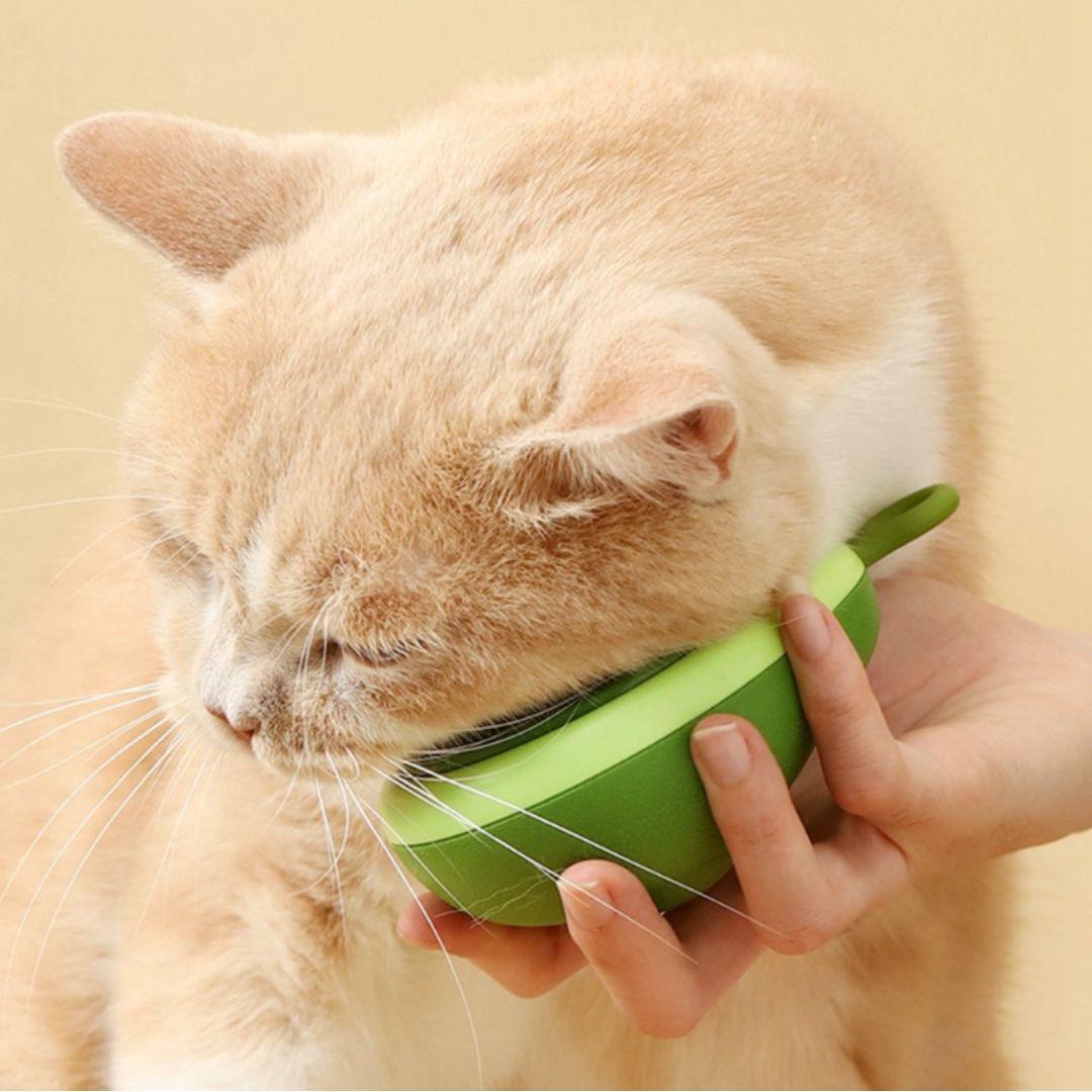 Avocado-Shaped Cat & Dog Brush