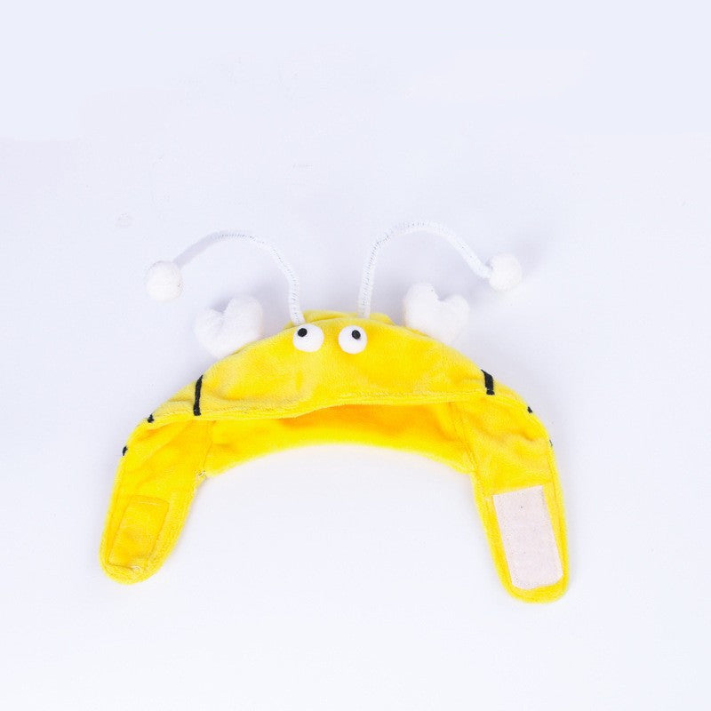 Head-Mounted Cat Toy for Hands-Free Fun| Indoor Cat Teaser Hat