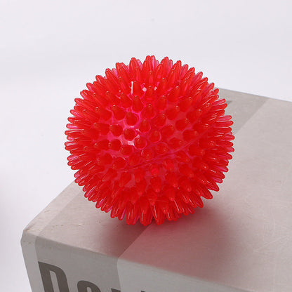 Spiky TPR Squeak Ball for Dogs