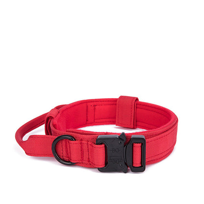 Monochrome Dog Collar - Red, Cyan, Black, Pink