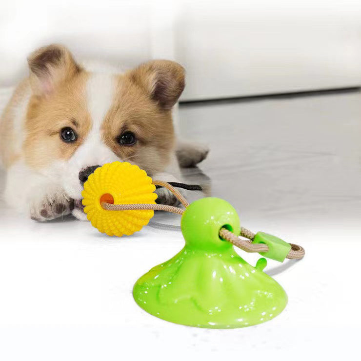 Dog happily playing with tug-of-war suction toy.