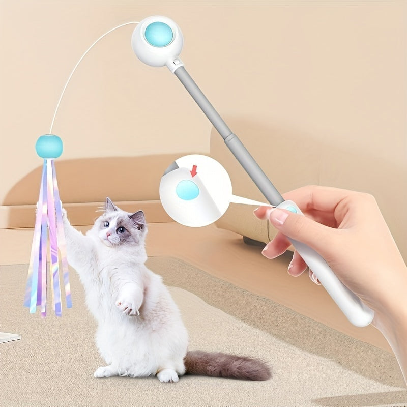 Retractable Cat Teaser Wand with Feather Toy