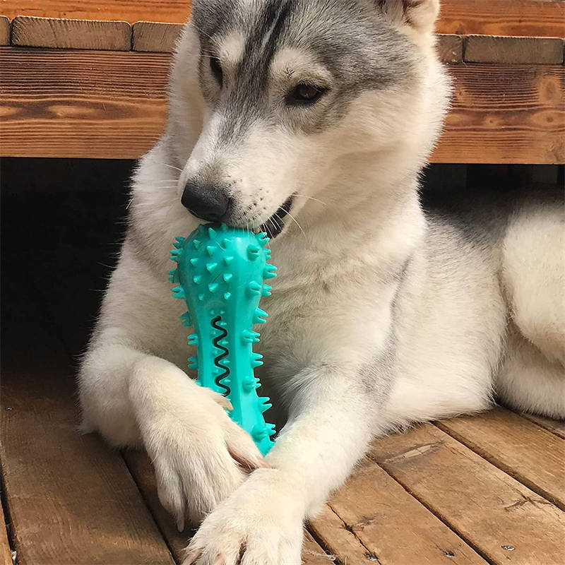 Durable Cleaning Chew Toy for Aggressive Dogs