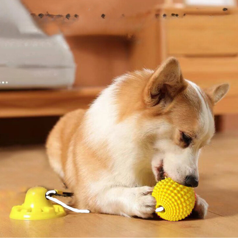 Dog chewing on corn ball toy for teeth cleaning.