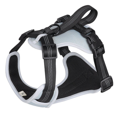 Explosion Proof Big Dog Harness with Handheld Leash