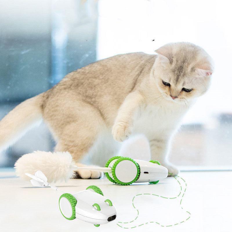 Automatic Feather Cat Toy: Anti-Boring Interactive Fun