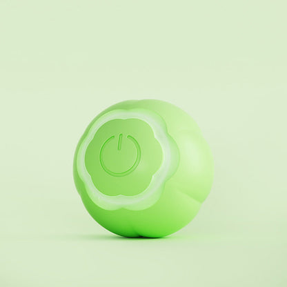 ABS Silicone Pet Toy Ball