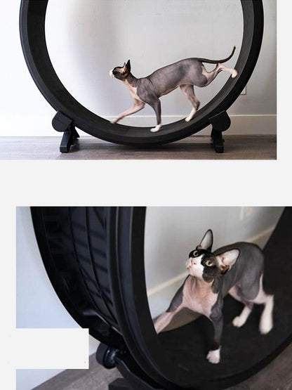 Fashion Minimalist Pet Running Wheel - Exercise Toy for Pets